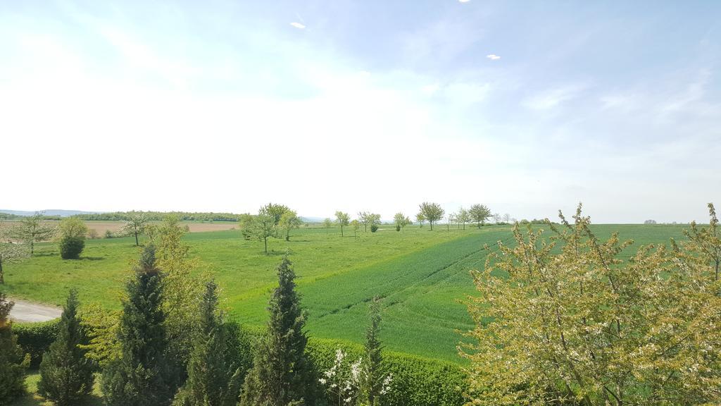 Landhotel Burgenblick Erfurt Buitenkant foto